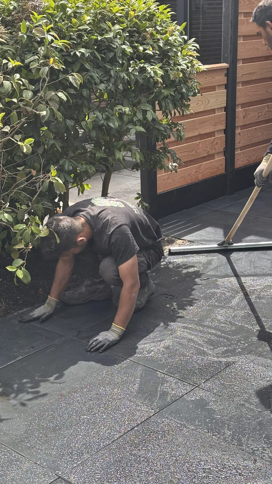 Voegwerk langs de heester bij de schutting — Rotterdam